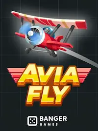 Avia Fly Avia Fly crash at 883V COM